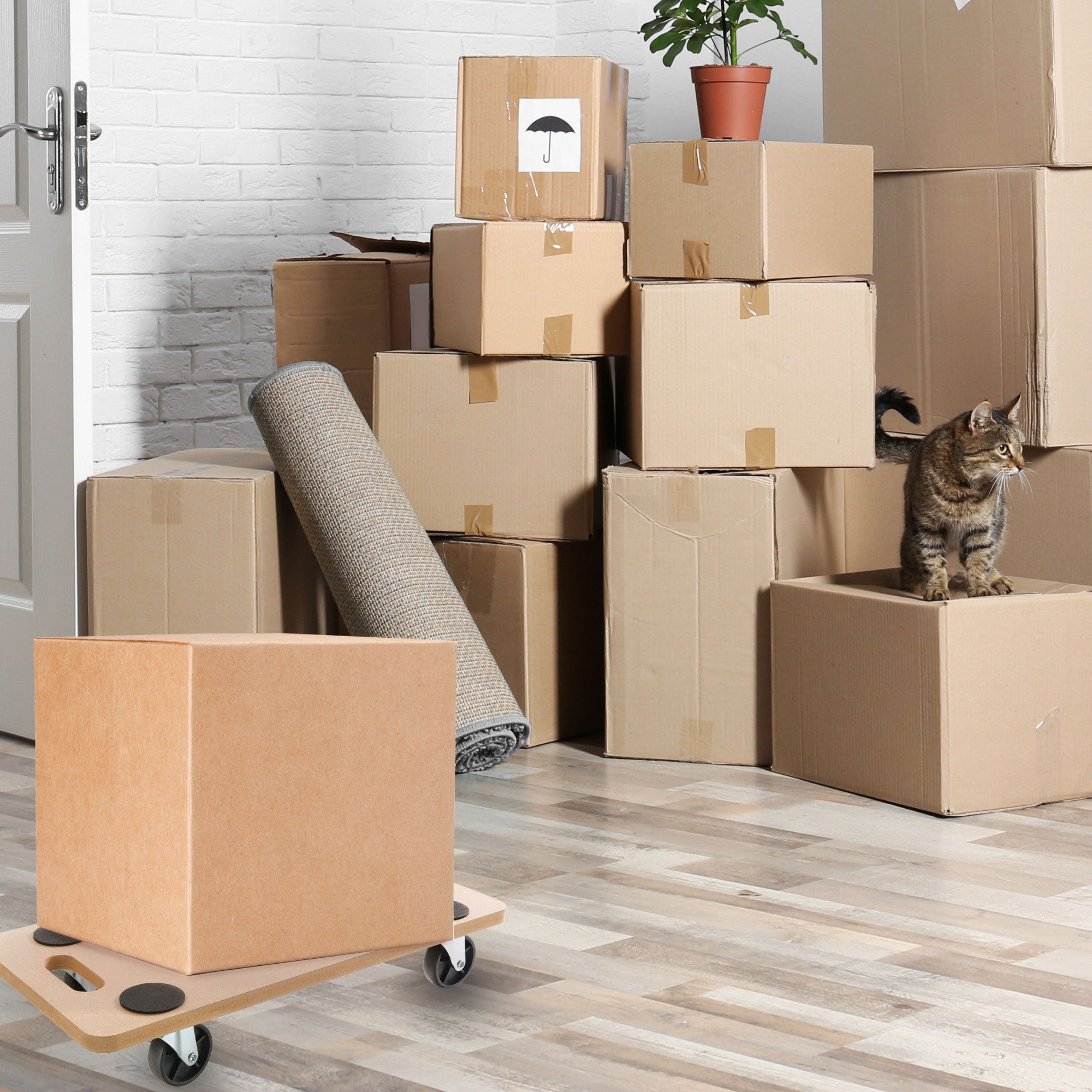 AREBOS 2x Plateau roulant Chariot à roulettes Chariot de manutention transport 200 kg - 2