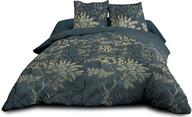 Parure Drap plat + drap-housse 160x200 + 2 T - Pur coton 57 fils - Hevea