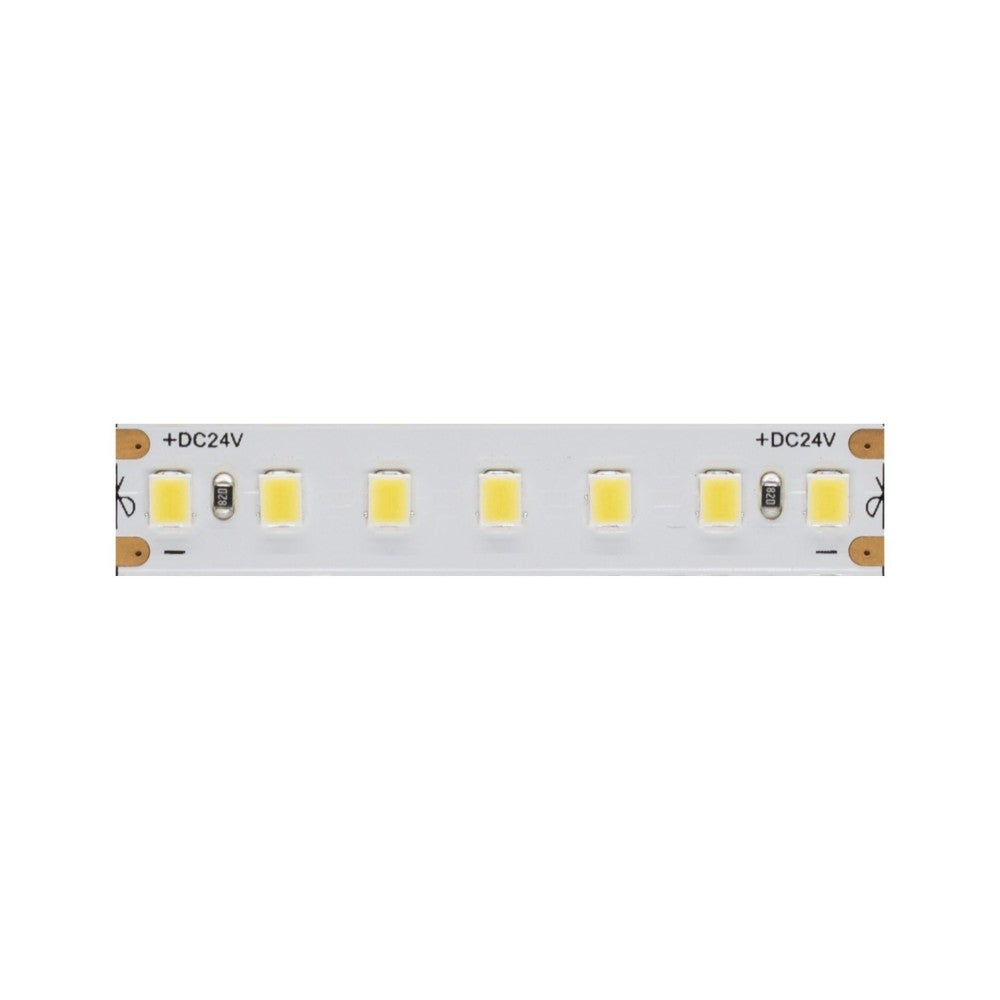 Taśma LED Fine 41 - 24 V, 14,4 W/m, CRI≥90, IP65, 6000 K - rolka 25 m - Beneito Faure - taśma LED do wewnątrz i na zewnątrz