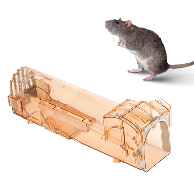 Piege A Souris Vivante,Cage PièGe à Rat Pour IntéRieur Et ExtéRieur