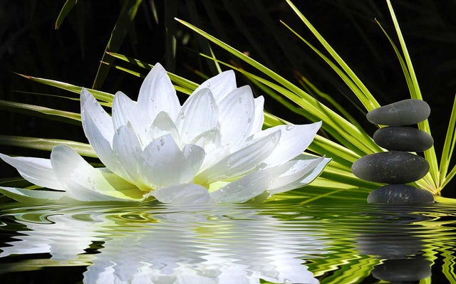 Tableau deco ambiance zen et fleur de lotus - 80x50 cm