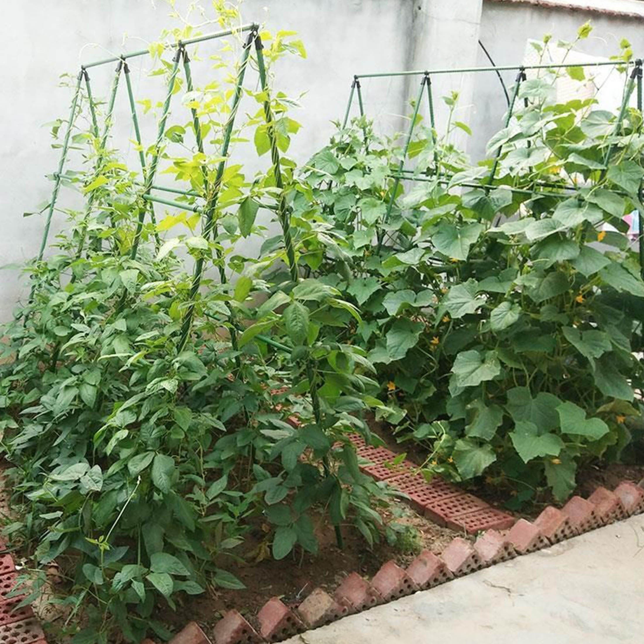 Ensemble de 36 supports d'escalade, piquets de jardin en tube d'acier plastifié, piquets de support pour plantes, adaptés aux plantes grimpantes - 2