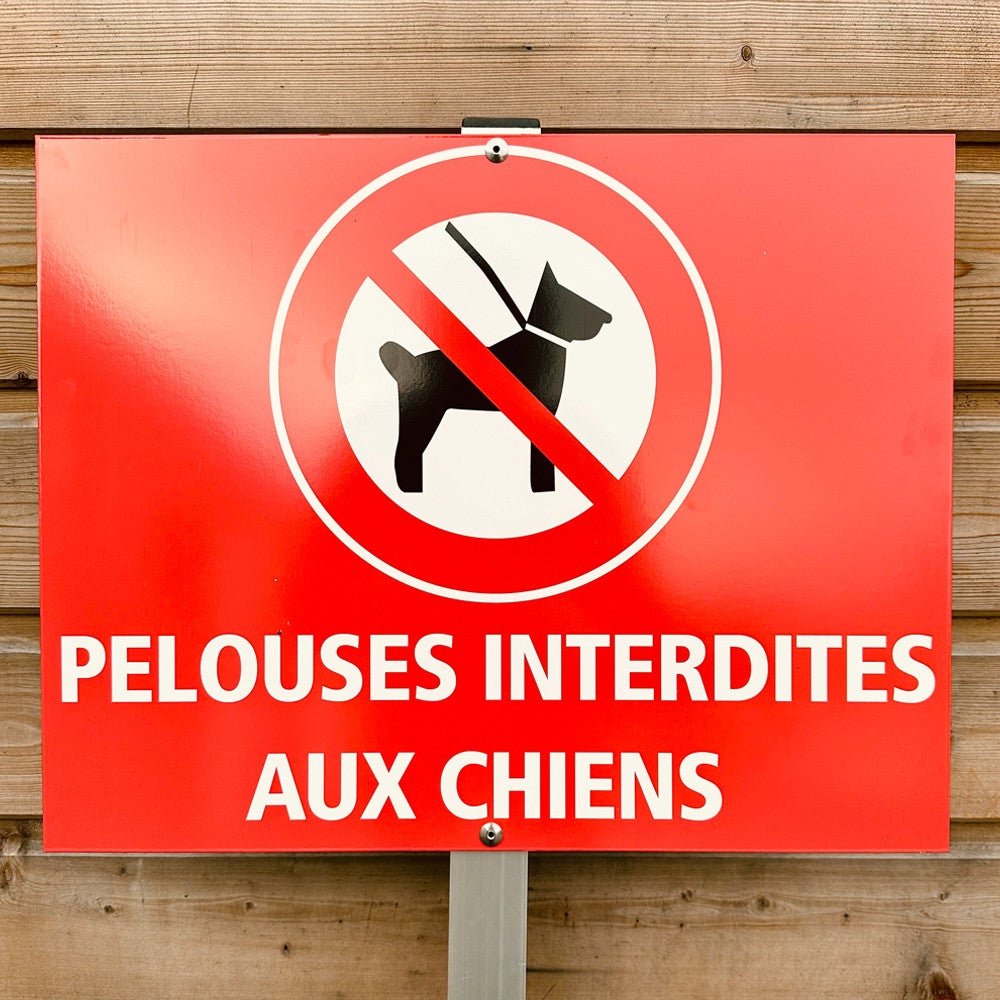 Poteau carré acier galvanisé anti-corrosion H.3 m, 40 x 40 mm (4 x 4 cm) - 2