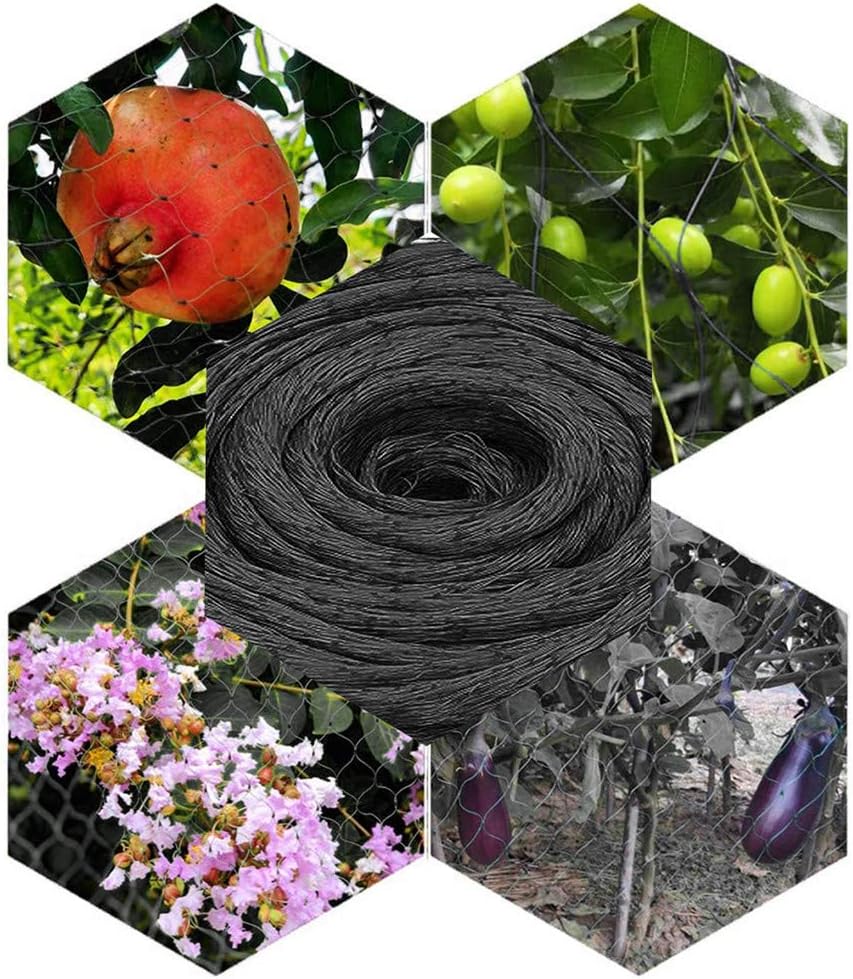 1 rolo de rede de jardim preta (2m x 3m) - proteção antipássaros para plantas, vegetais, frutas, flores, reutilizável, rede grande, rede para V - 4