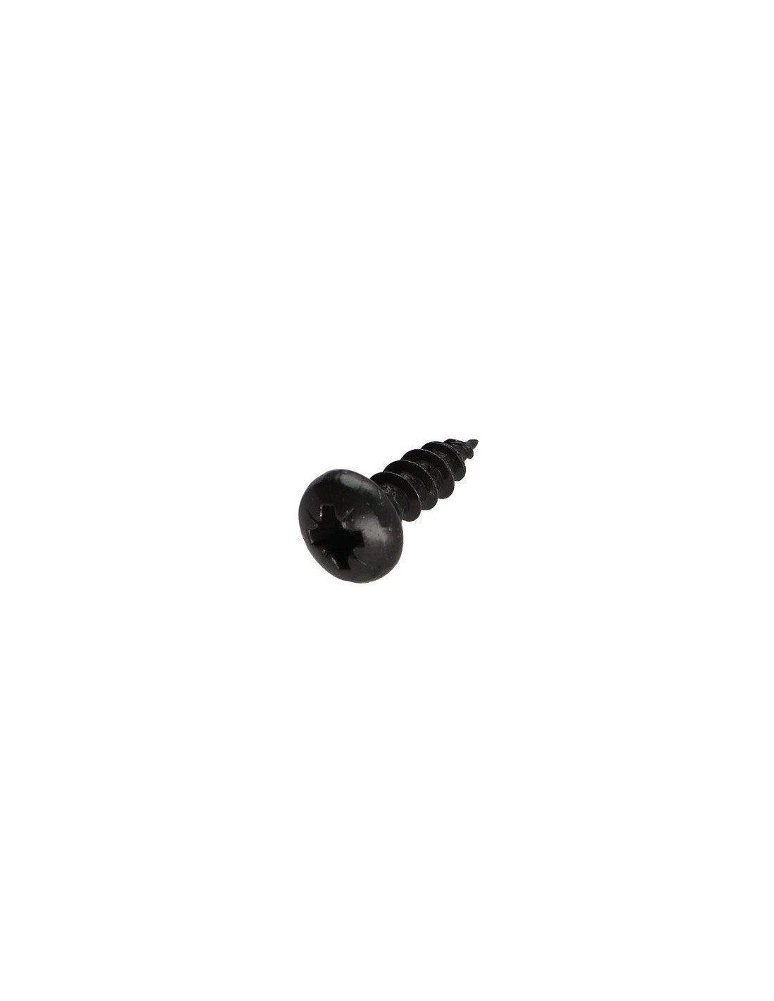 Vis bois tête ronde acier zingué 5 x 25 mm Vis bois tête ronde acier zingué 5 x 25 mm
