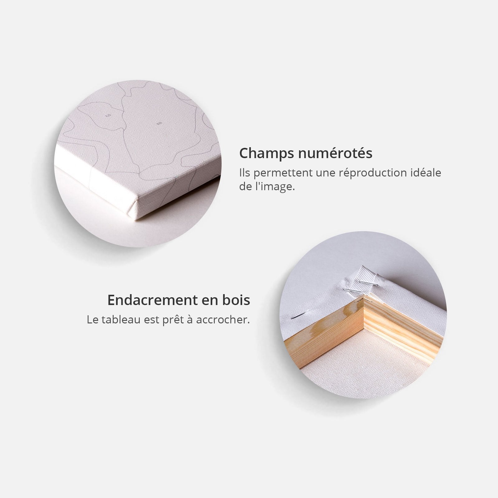 Toile DIY Colorée de Gorille Penseur pour Peinture 60 x 40 cm Gris et Multicolore - 4