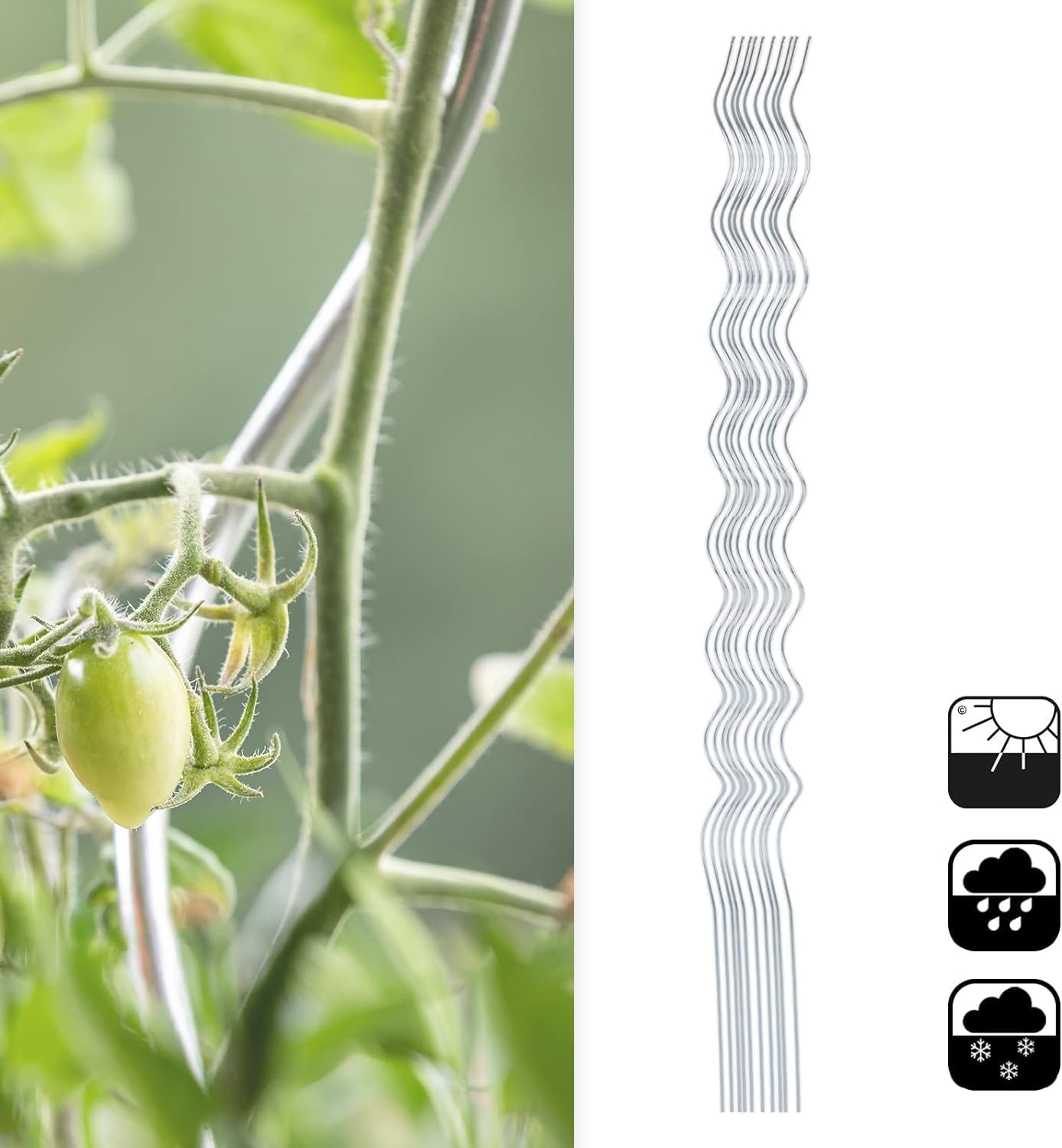 Lot de 10 tuteurs spirales galvanisés pour plantes grimpantes, tomates, concombres, framboises et fleurs - 110 cm - 4