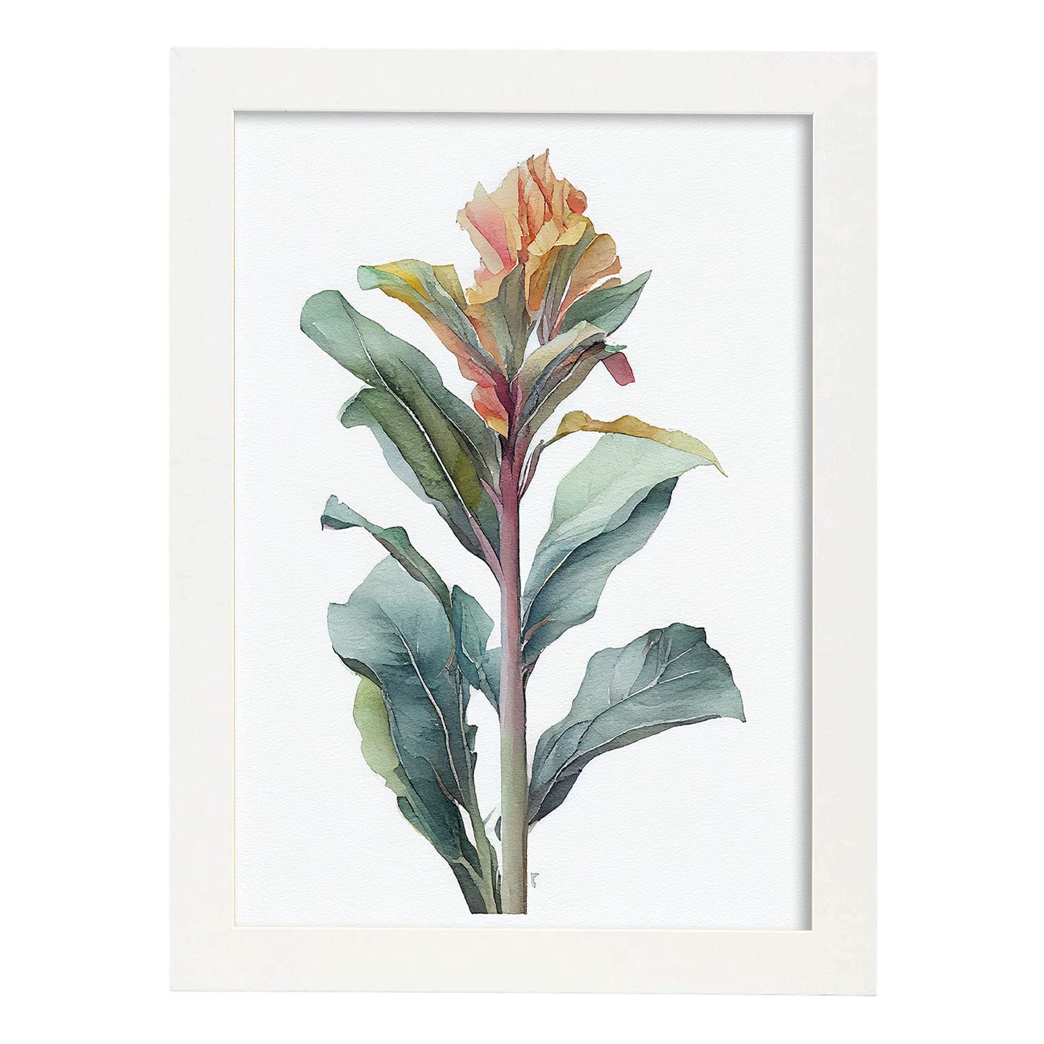 Nacnic poster de canna estilo nórdico ilustraciones de botánica con flores y plantas en acuarela diseño moderno y modelo 2 a3 con marco blancos