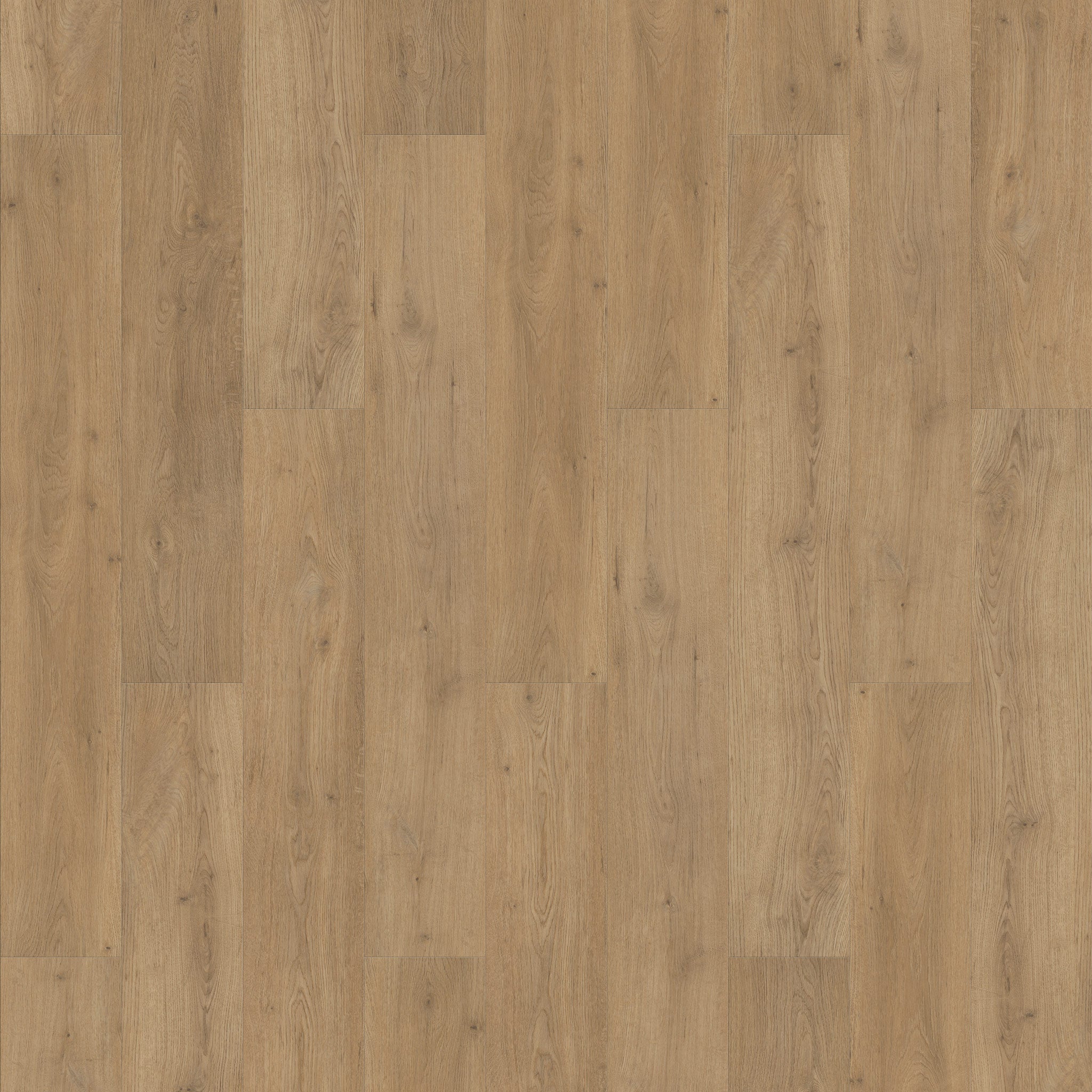 FLOOREVER - Lame PVC clipsable forte - Sous-couche intégrée - 30 Clic Rigid - Épaisseur 5 mm - Chêne miel - 3