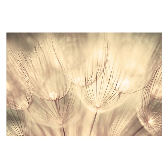 Cuisine blanche et noire et jaune au meilleur prix | Leroy Merlin