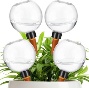 FUNOMOCYA 2 Pezzi Mini Annaffiatoi Blu Per Piante Grasse E Fiori - Ideale Per Casa E Ufficio
