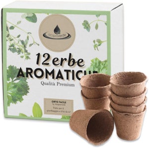 KIT COLTIVAZIONE FUNGHI Appassionati Di Coltivazione Funghi Micologia - Foto 11