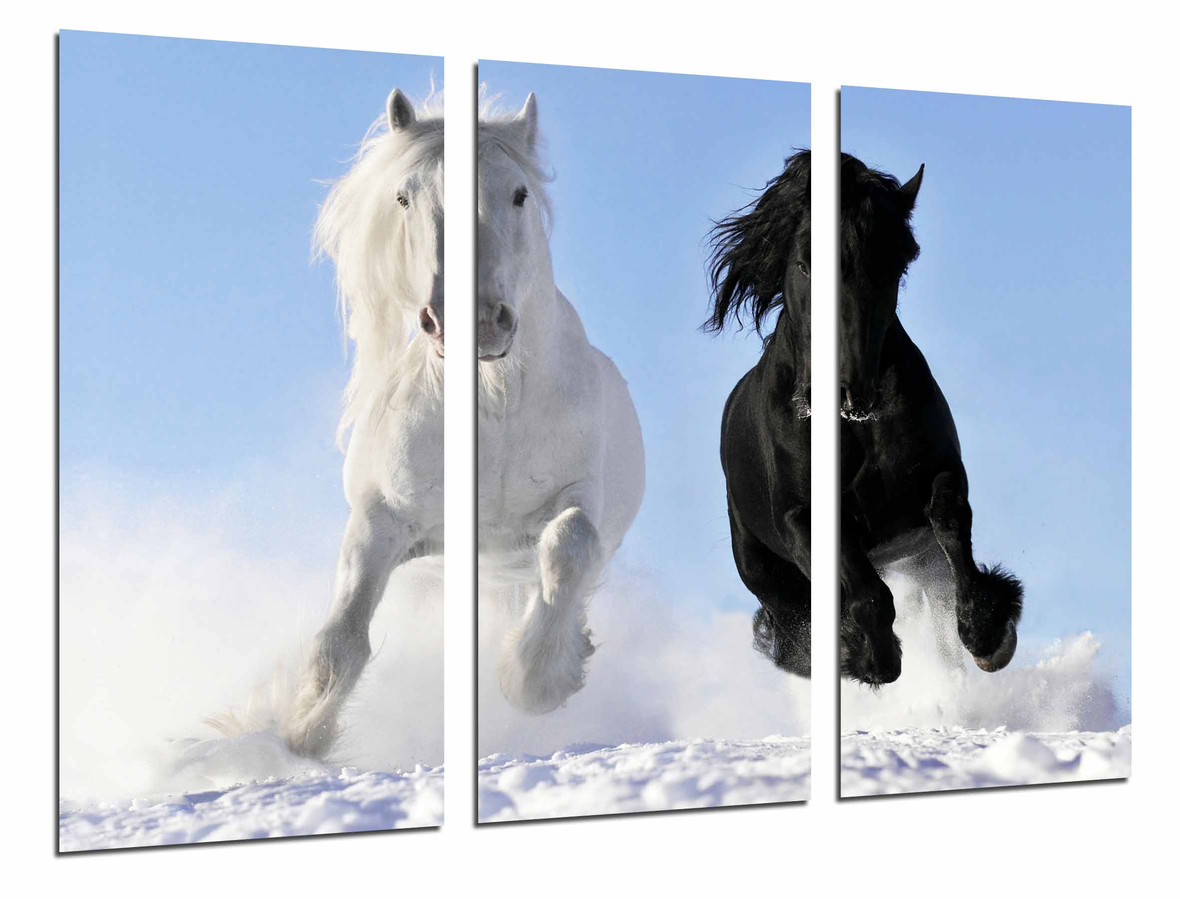 Aniali Cavallo Oda Divertente Aniche Lunghe Felpe Con Cerniera Con - Foto 6