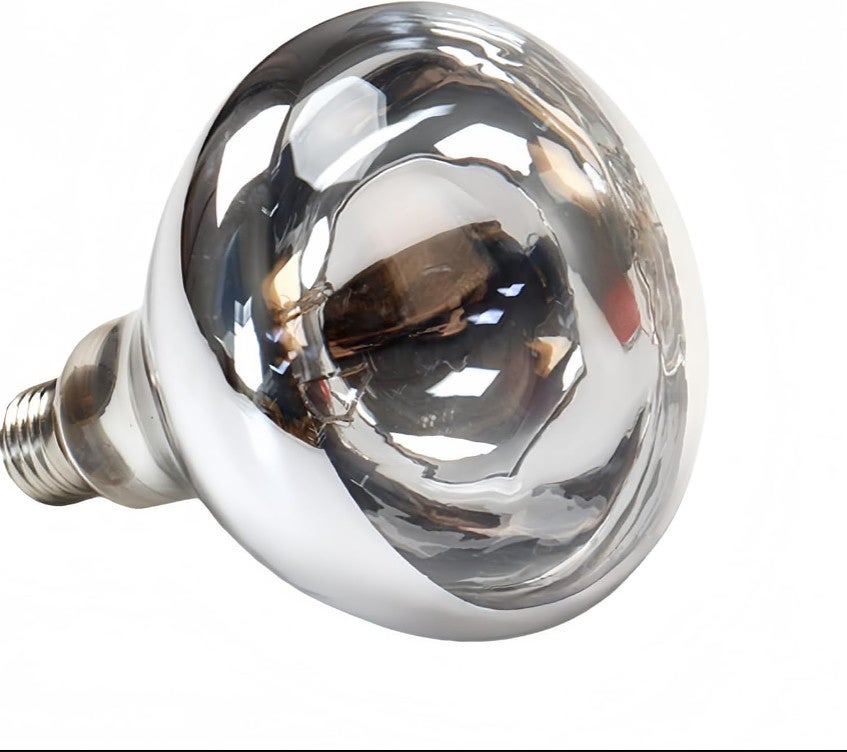 Ampoule chauffante 250 W E27 220 V blanc froid transparente | Leroy Merlin