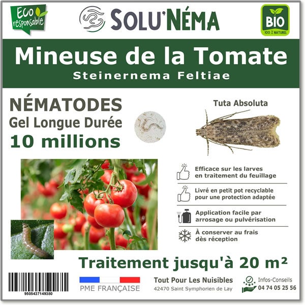 Solunéma Mineuse de la Tomate Traitement Nématodes Steinernema — free download