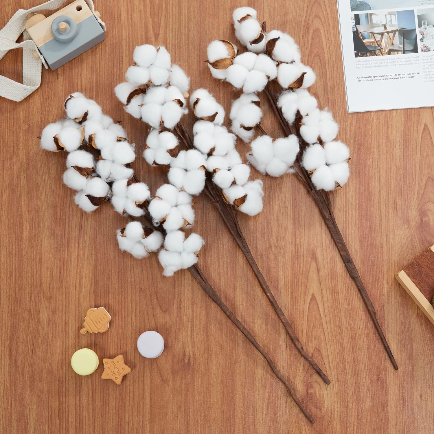 Tiges de coton séchées naturelles, bouquet décor ferme, arrangement floral DIY déco maison fête, lot de 20. - 2