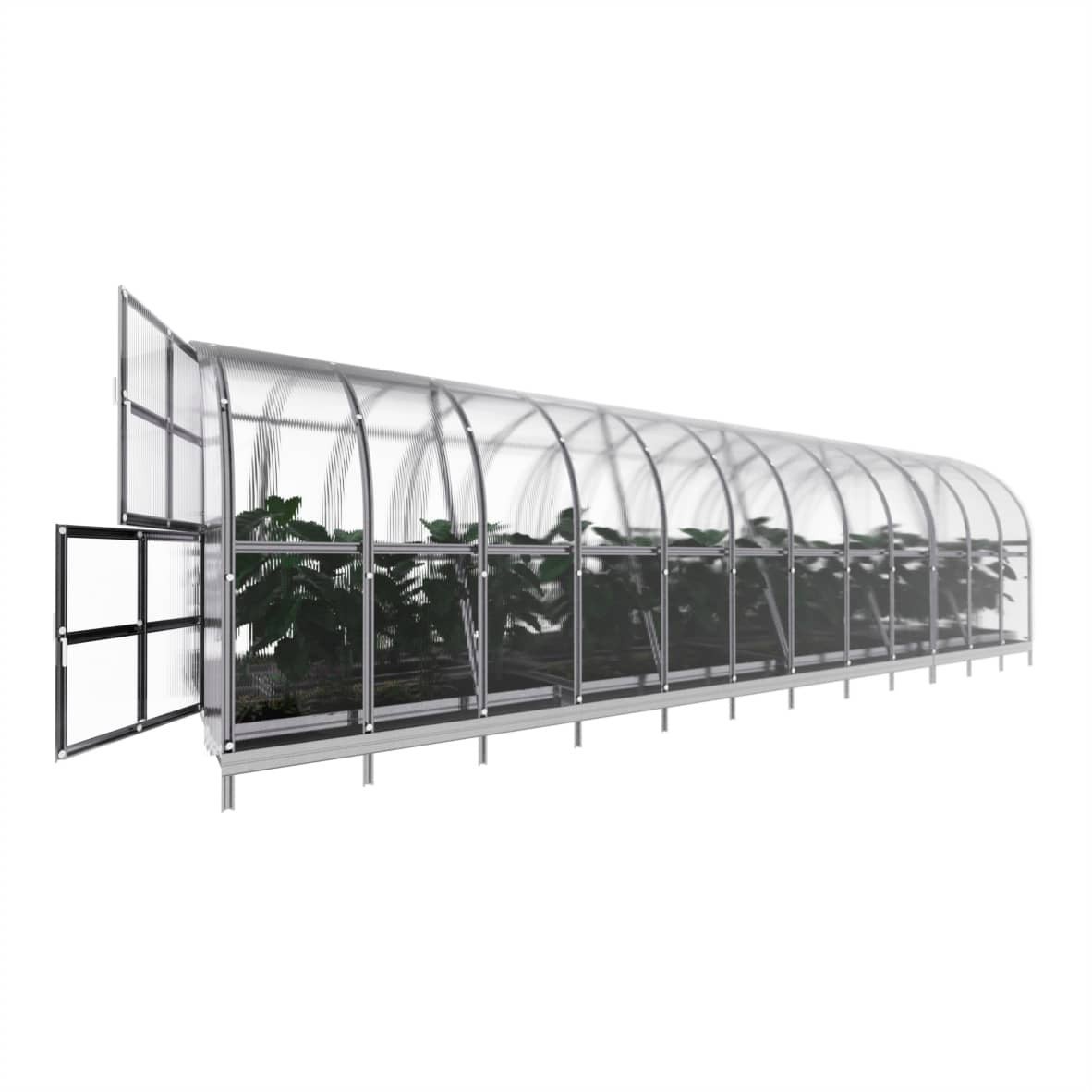 Serre de jardin KLASIKA ARCH 3 x 12 m (36 m²), 4 mm avec revêtement en polycarbonate - 5