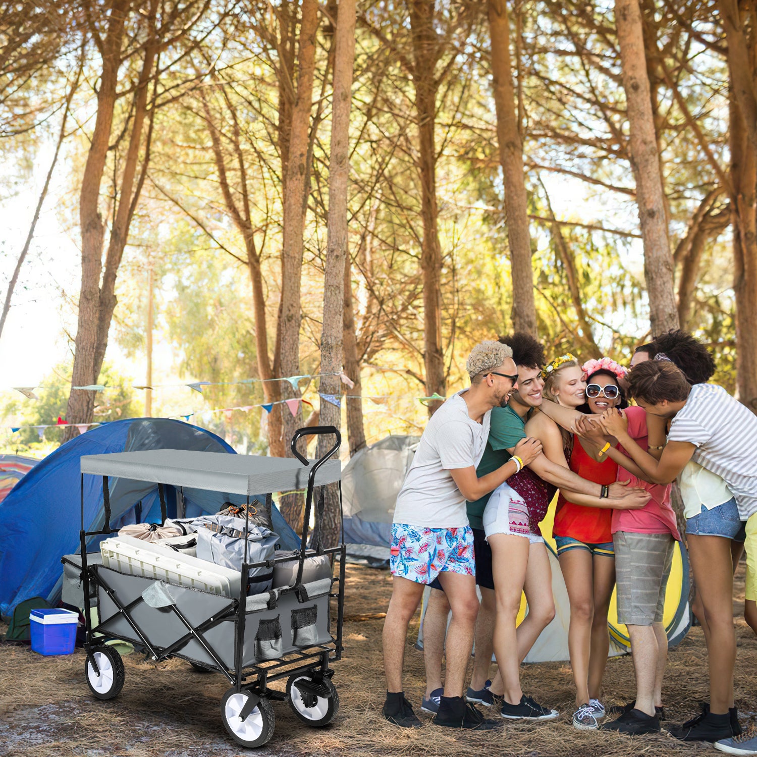 Chariot Pliable avec Toit Chariot de Transport capacité de Charge de 80 kg Noir - 7