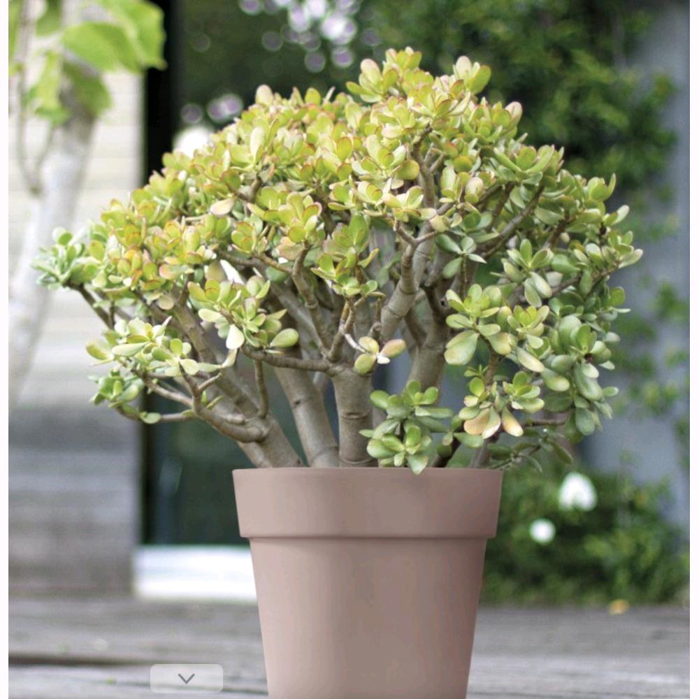 Vaso Tondo Ø36x35H cm Antracite Fioriera Balconiera 23,9 Litri interni ed esterni (ARKè) - 2