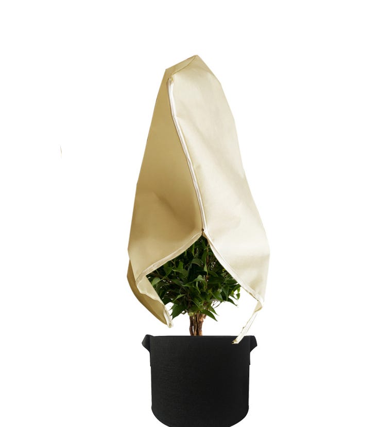 Telo Cappuccio Termoclima TNT 30 gr/mq Larg. 1,6 m x 2 m antigelo piante Telo Cappuccio Termoclima TNT 30 gr/mq Larg. 1,6 m x 2 m antigelo piante