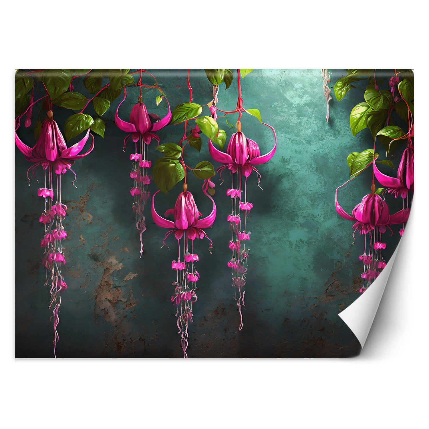 Fototapeta, Zwisające kwiaty wisteria 450x315