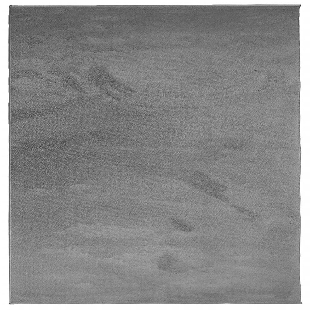 vidaXL Tapis OVIEDO à poils courts anthracite 200x200 cm - 2
