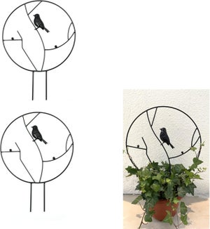 Bandeau De Nez Corde Showman Avec Joues En Cuir - Pour Chevaux, Attelage