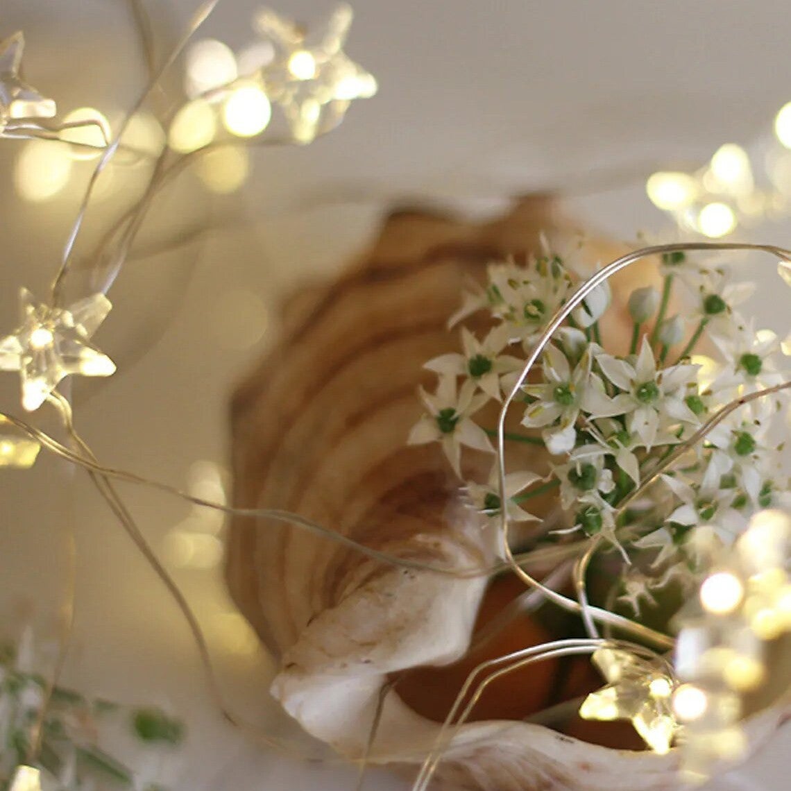 561081 Guirlande 50 LED LIGHT CHRISTMAS INSIDE sous forme d'étoiles à piles - 4