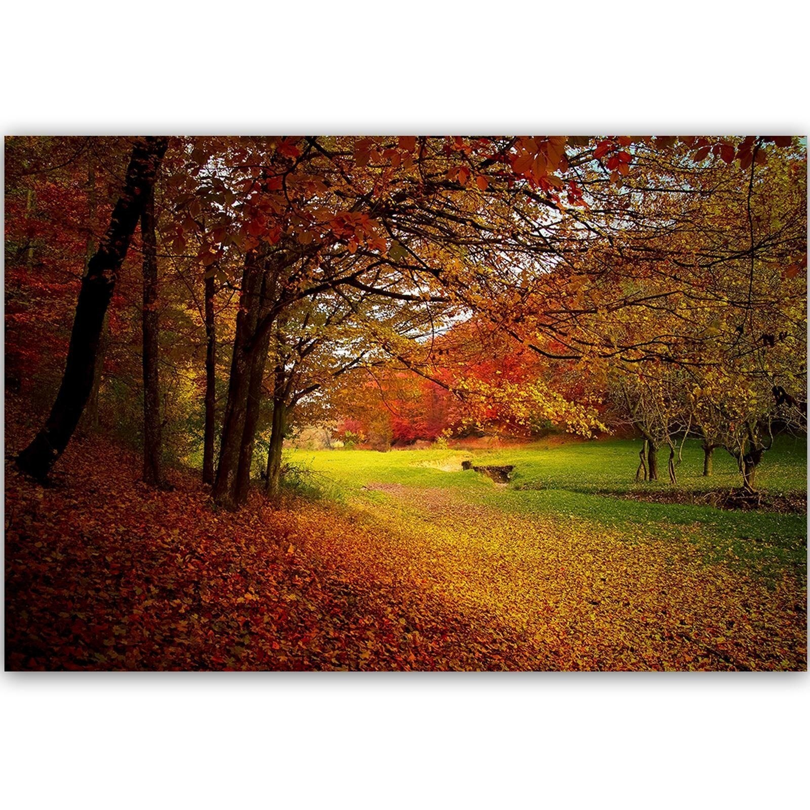 Tableau bois forêt verte clairière - 120 x 80 cm - 2