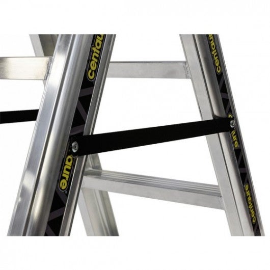 Marchepied aluminium double accès ALPHA 2x4 marches - 3