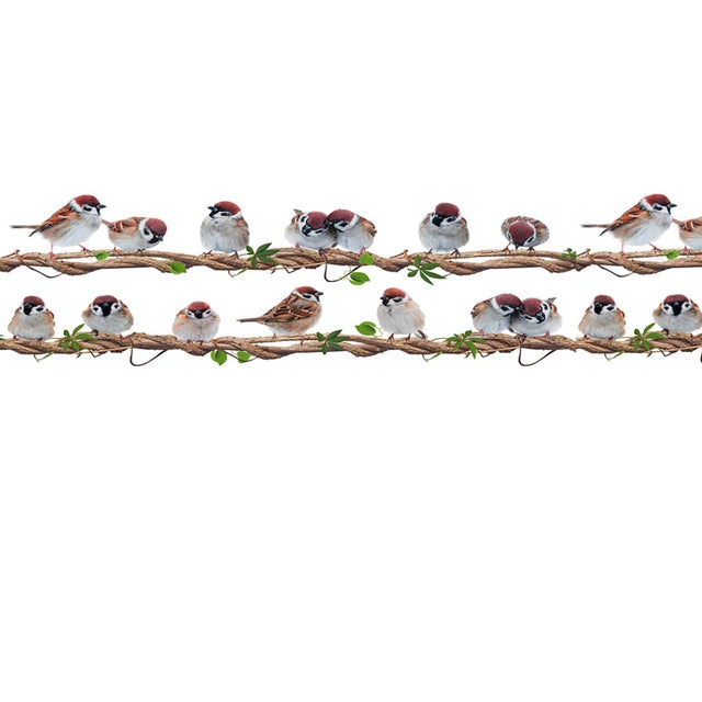 Décoration murale avec cadre de papier peint autocollant adapté au salon et à la chambre décoration murale oiseau marron 2 pièces 20x50cm