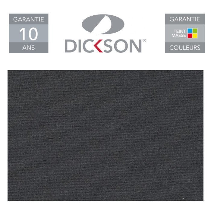 Store de Terrasse Coffre Intégral Solares Motorisé RAL Anthracite 4,5 X 3 Dickson® CARBONE - 5