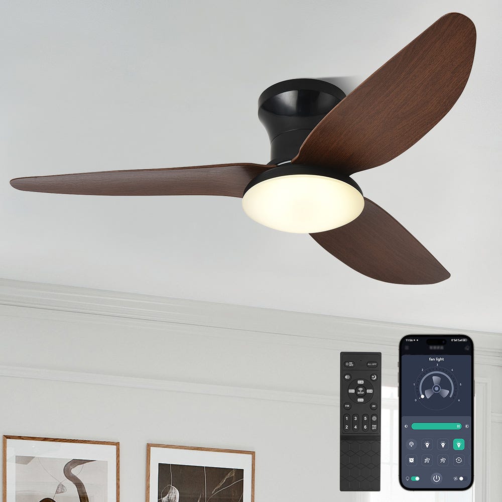 Ventilatore da soffitto per cucina bagno con telecomando Plafoniera Ventilatore da soffitto per cucina bagno con telecomando Plafoniera