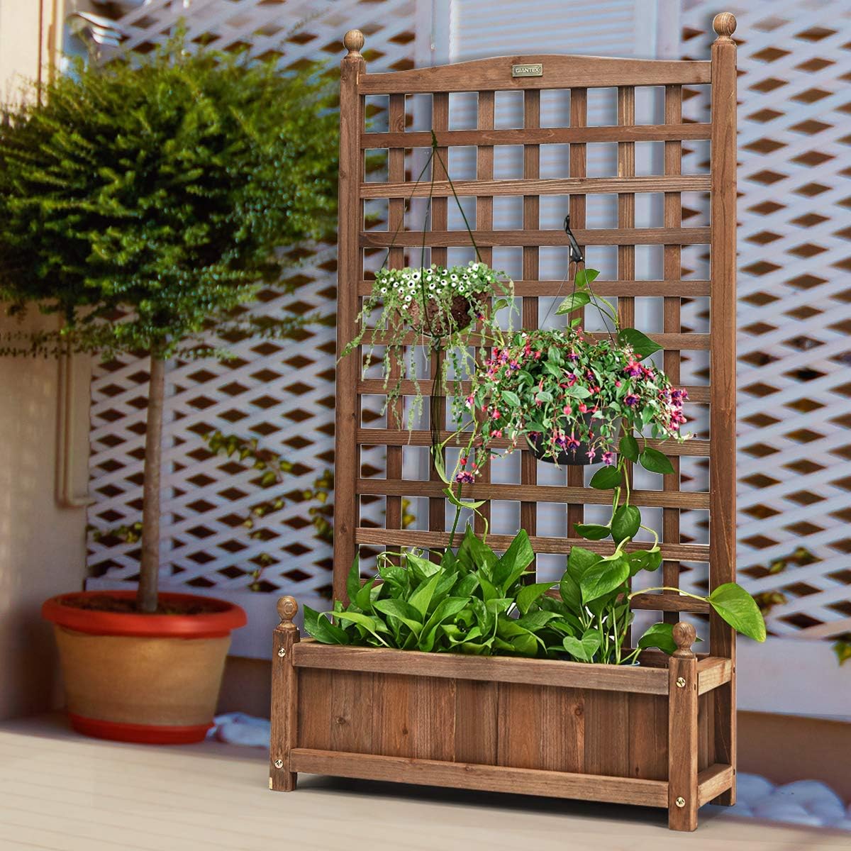 Jardinière avec Treillis en Bois de Sapin, Bac à Fleurs Résistant aux Intempéries pour Plante Grimpante Vigne Fleurs, 63,5 x 28 x 122 cm - 6
