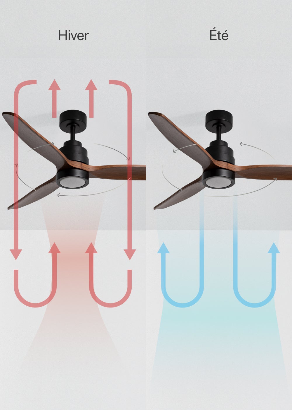 CREATE - WIND STYLANCE - Ventilateur de plafond silencieux 40 W avec pales en ABS technique Ø 132 cm avec éclairage avec wifi - 3