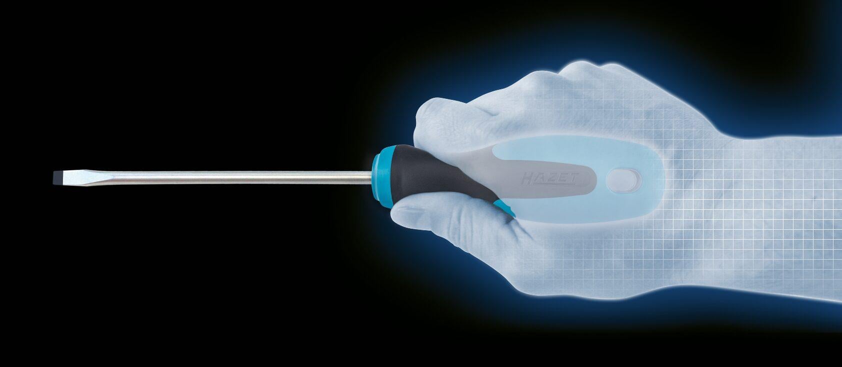 HAZET Giravite 810-T20 ∙ Profilo interno TORX® ∙ apertura chiave T20 - 2