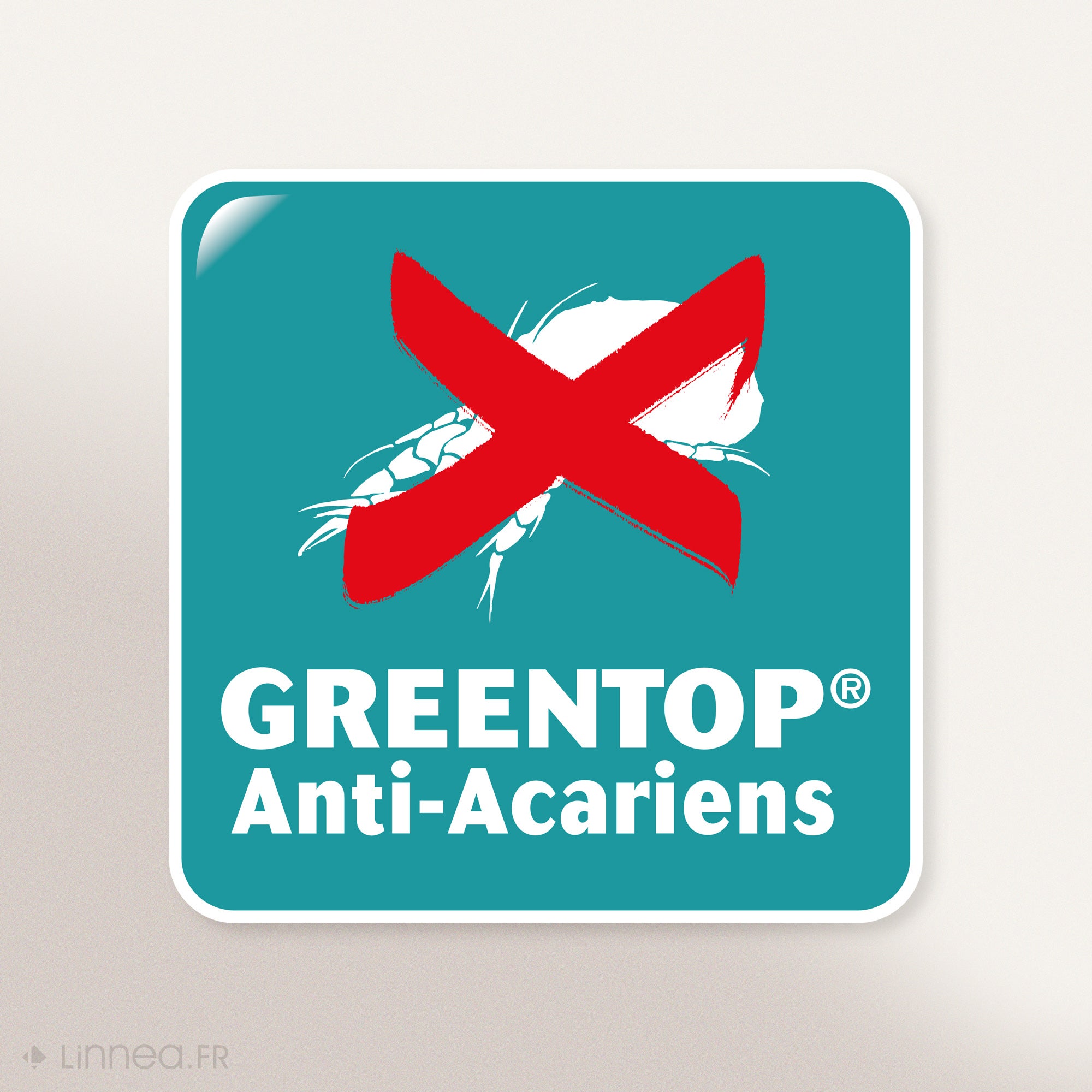 Protège matelas ANTONIN 2x70x200 cm bonnet 23 cm molleton 220 g/m² absorbant blanc lit articulé TPR - 5