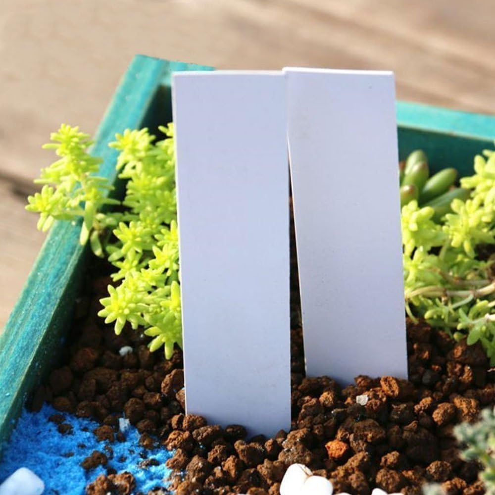 100 sztuk 20X3CM duża etykieta do roślin, etykieta ogrodowa, etykiety do sadzenia warzyw, etykiety plastikowe zewnętrzne - białe