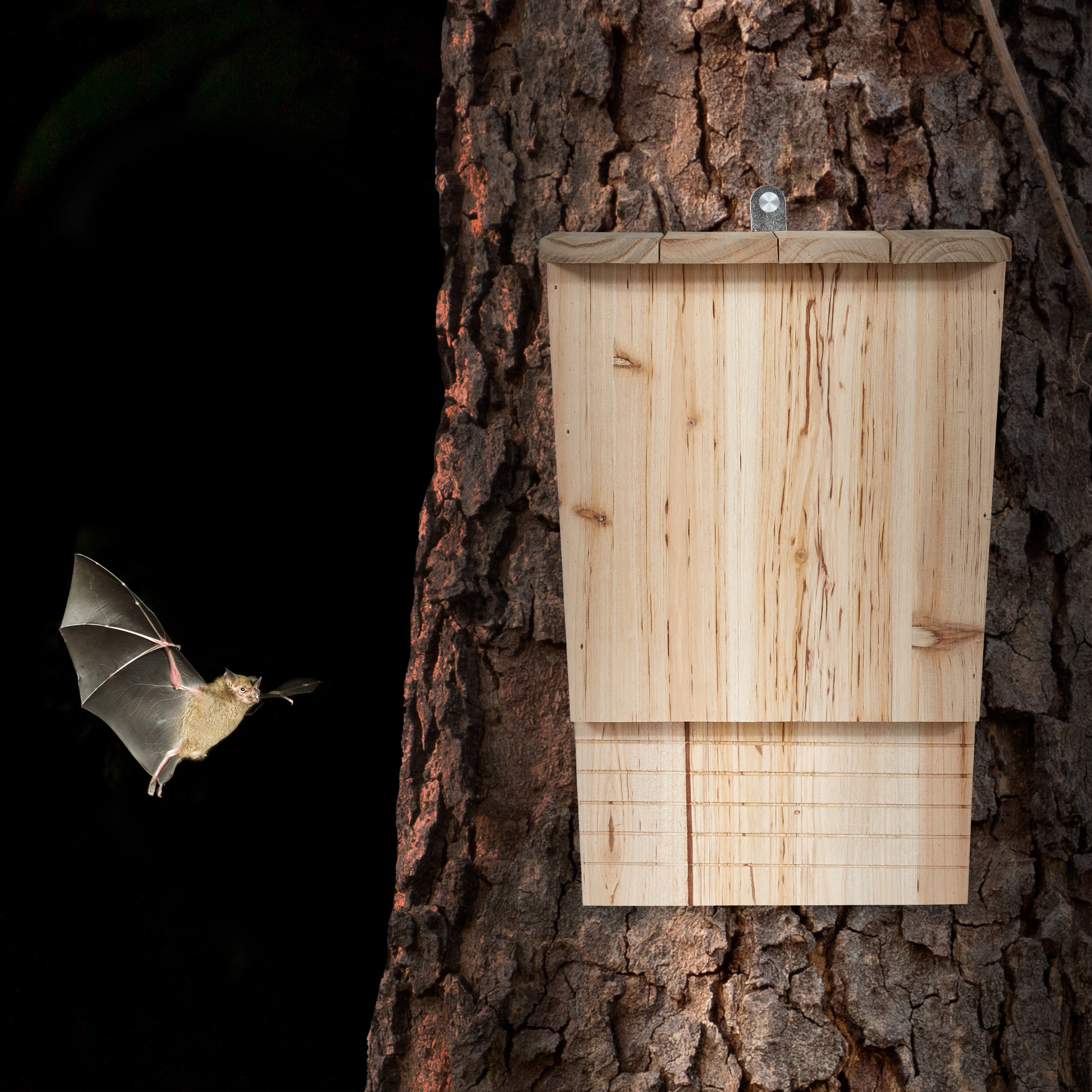 Relaxdays Nichoir à Chauves-Souris En Bois - Abri Naturel 37x22x12,5 Cm - Pour Jardin Et Protection Espèces