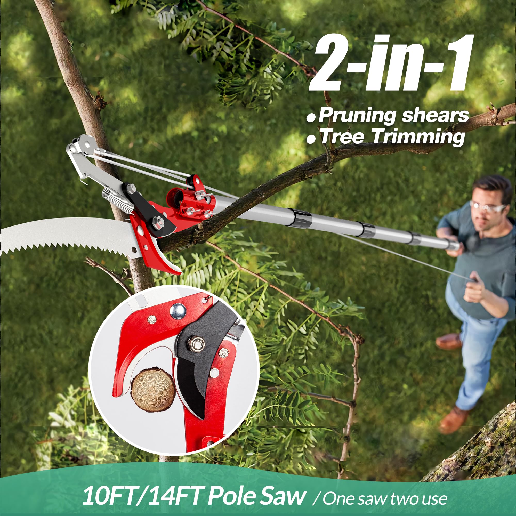 Sécateur, scie d'élagage 2 en 1, cisaille à branches hautes, outil de sciage manuel pour brindilles de plantes (Mât télescopique non inclus) - 2