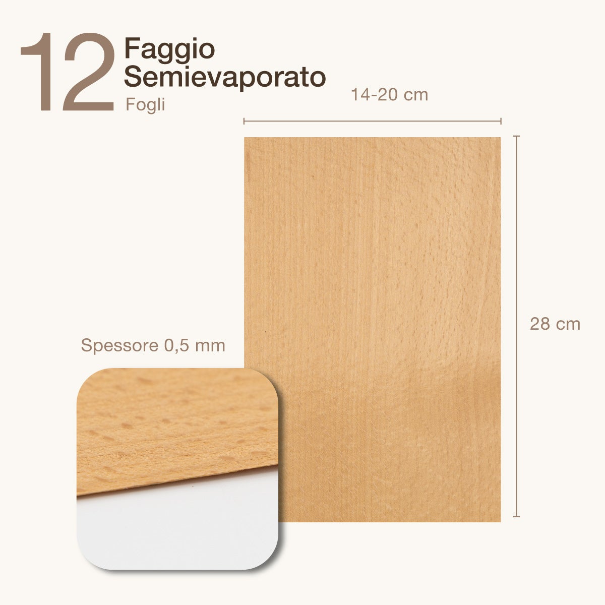 12 FOGLI DI IMPIALLACCIATURA IN LEGNO DI FAGGIO SEMIEVAPORATO - 2