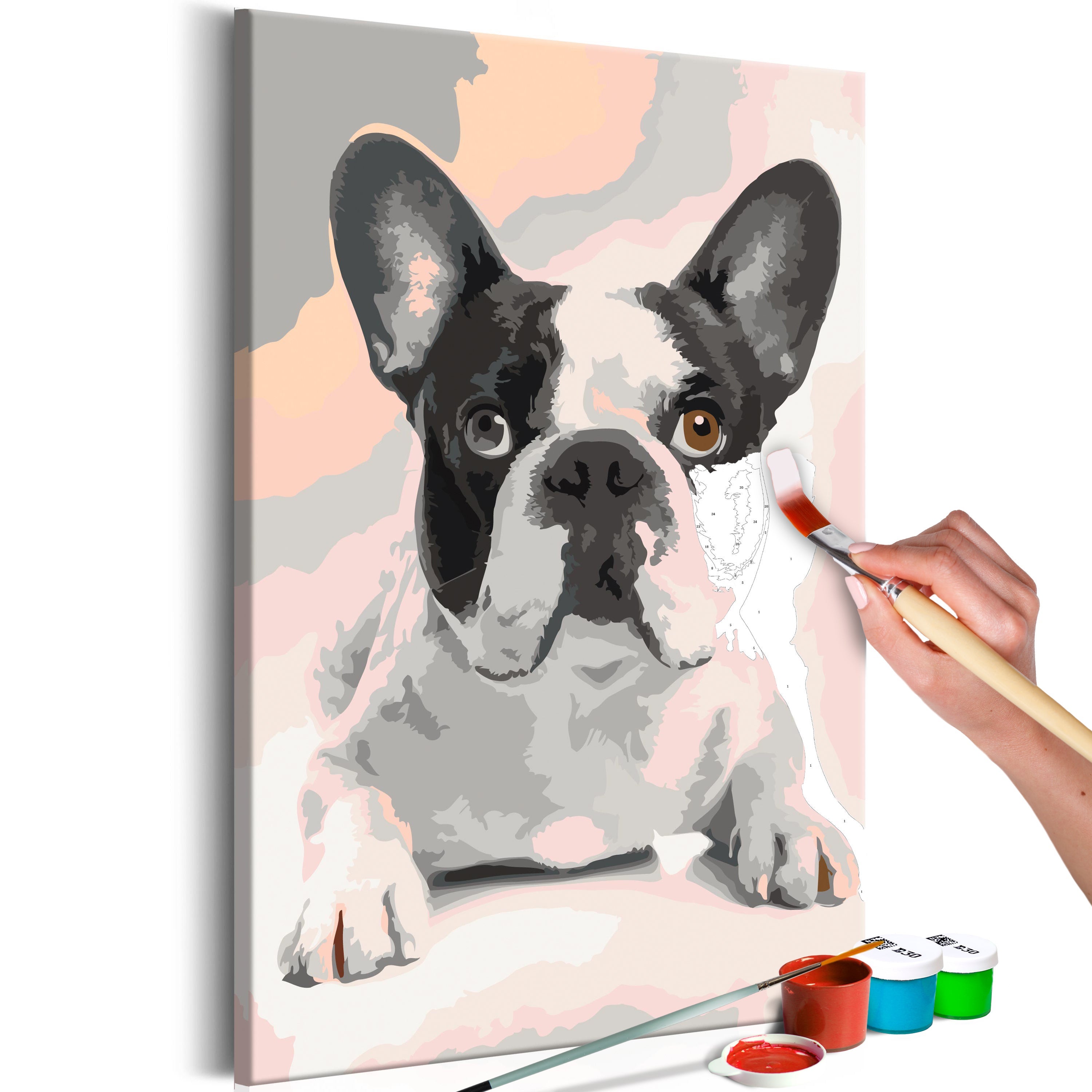 Kit Pittura Fai Da Te 40x50 Cm: Bulldog Francese Sul WC Che Legge | Per Adulti E Principianti, Su Tela, Colori Acrilici Inclusi