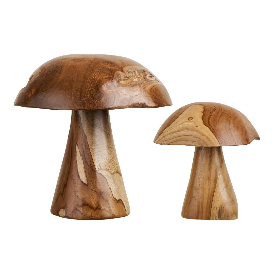 Sille grzyby dekoracyjne zestaw z 2 naturą.