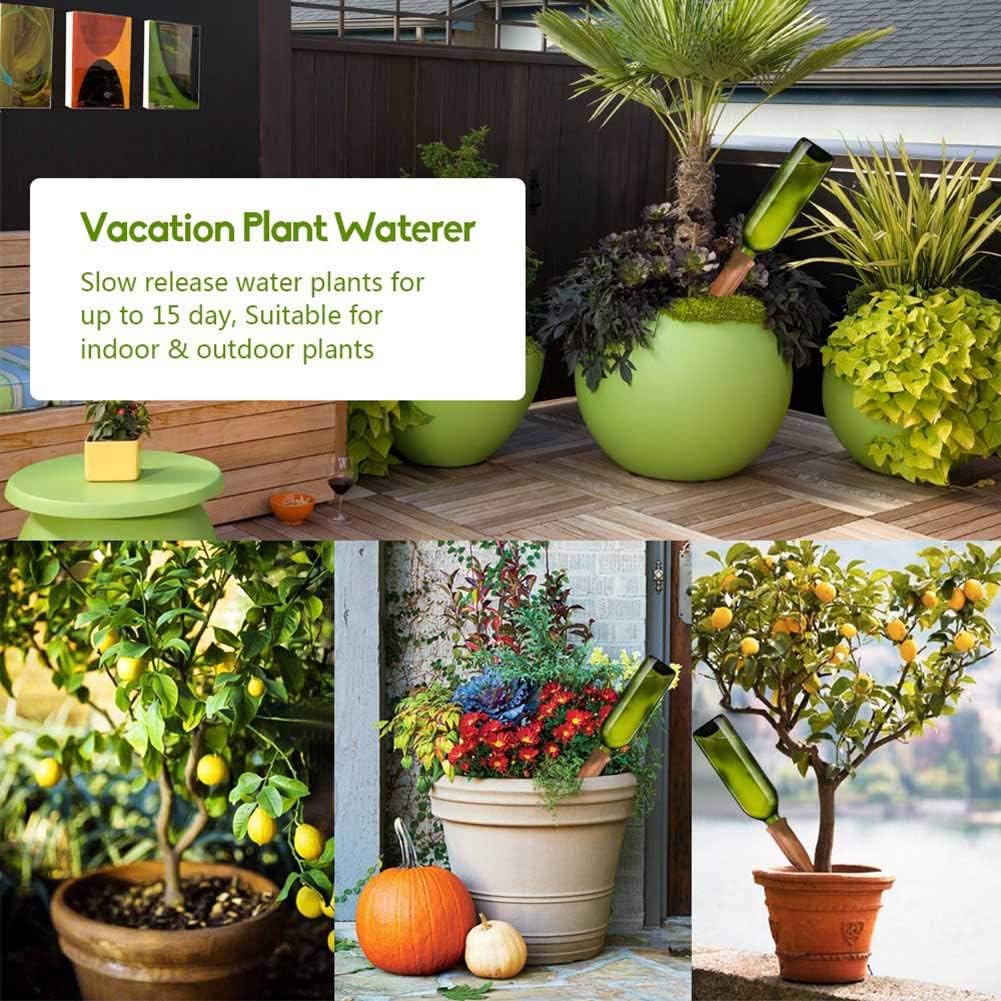 4 Pièces Arrosage Goutte à Goutte Ollas Terre Cuite Arrosage Automatique Plantes Irrigation Goutte a Goutte Bouteille pour Jardin Maison Intérieur Ext - 6