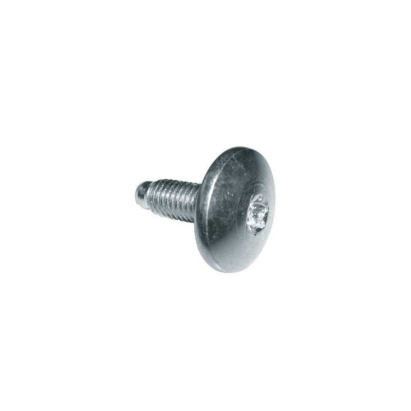 Vis Pour Sèche-linge M3.5 X 12 Torx T15 Indesit