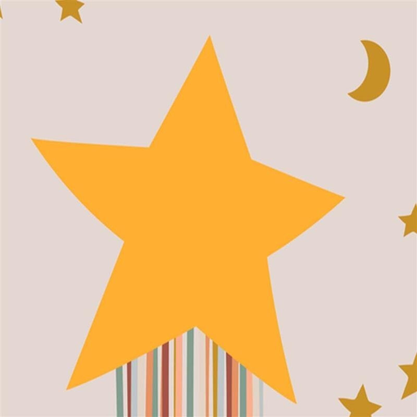 Tableau étoile enchantée - 70 x 100 cm - 5