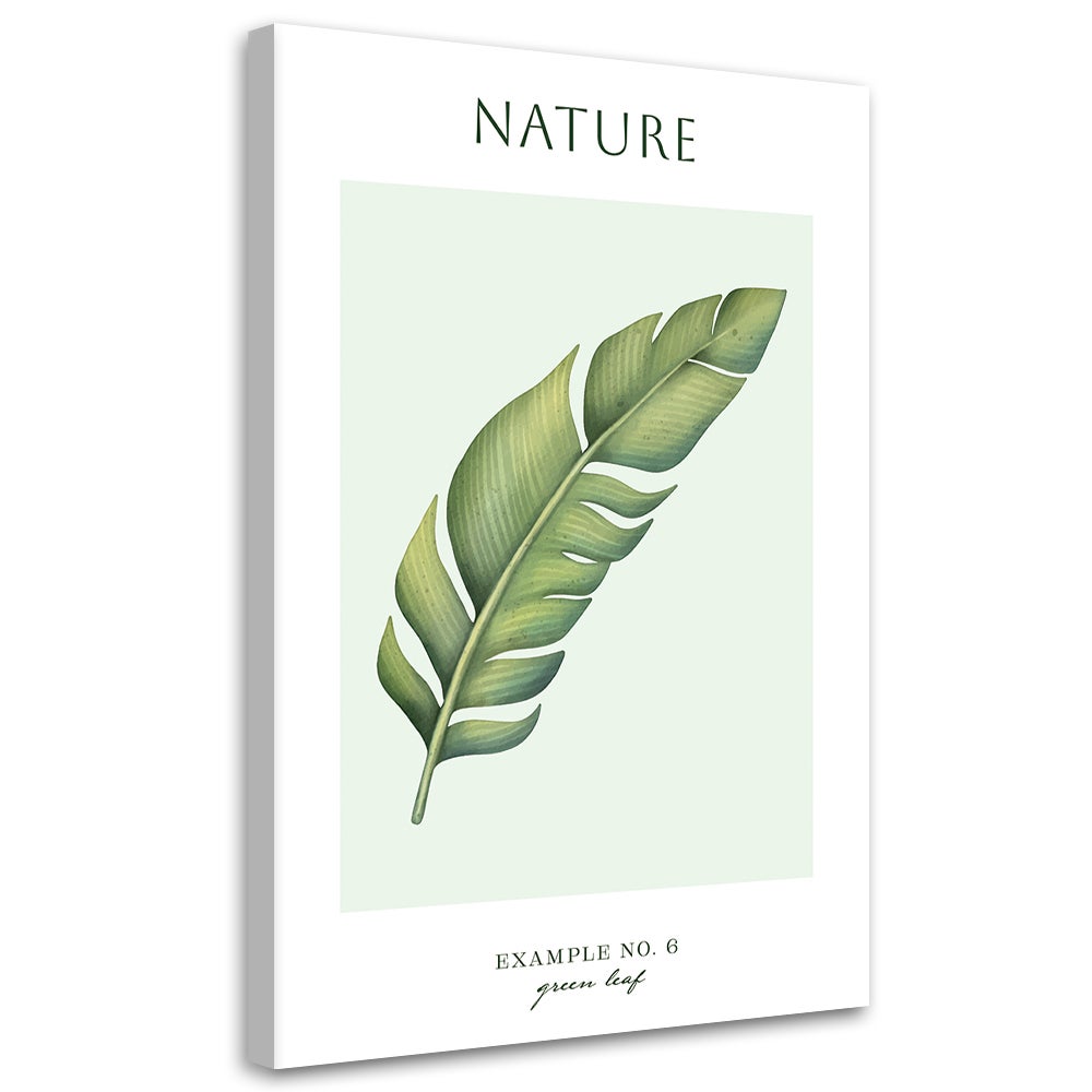 Obraz na płótnie, Zielony liśc - Natura 40x60