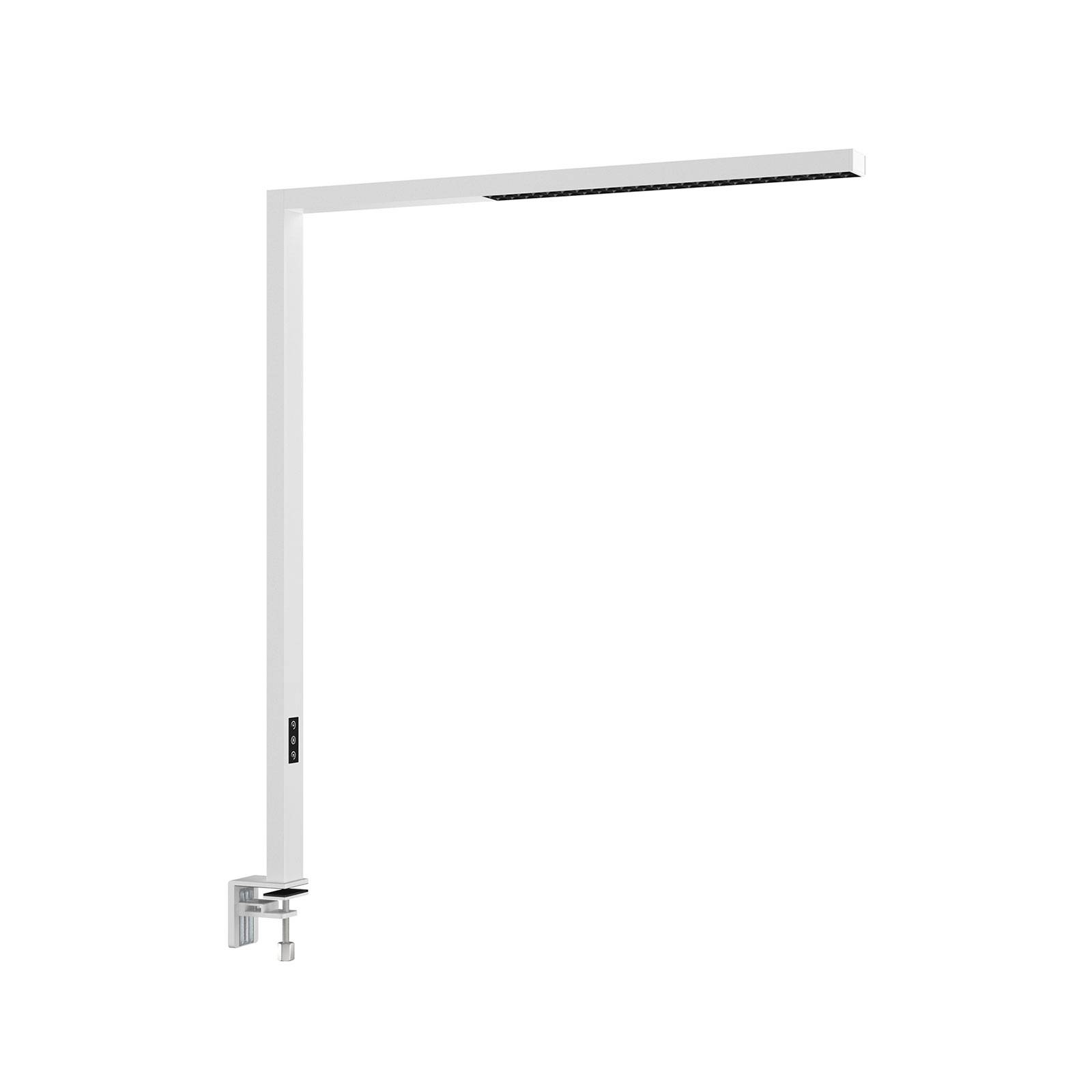 Lampe de bureau à pince - Maison - Page 11
