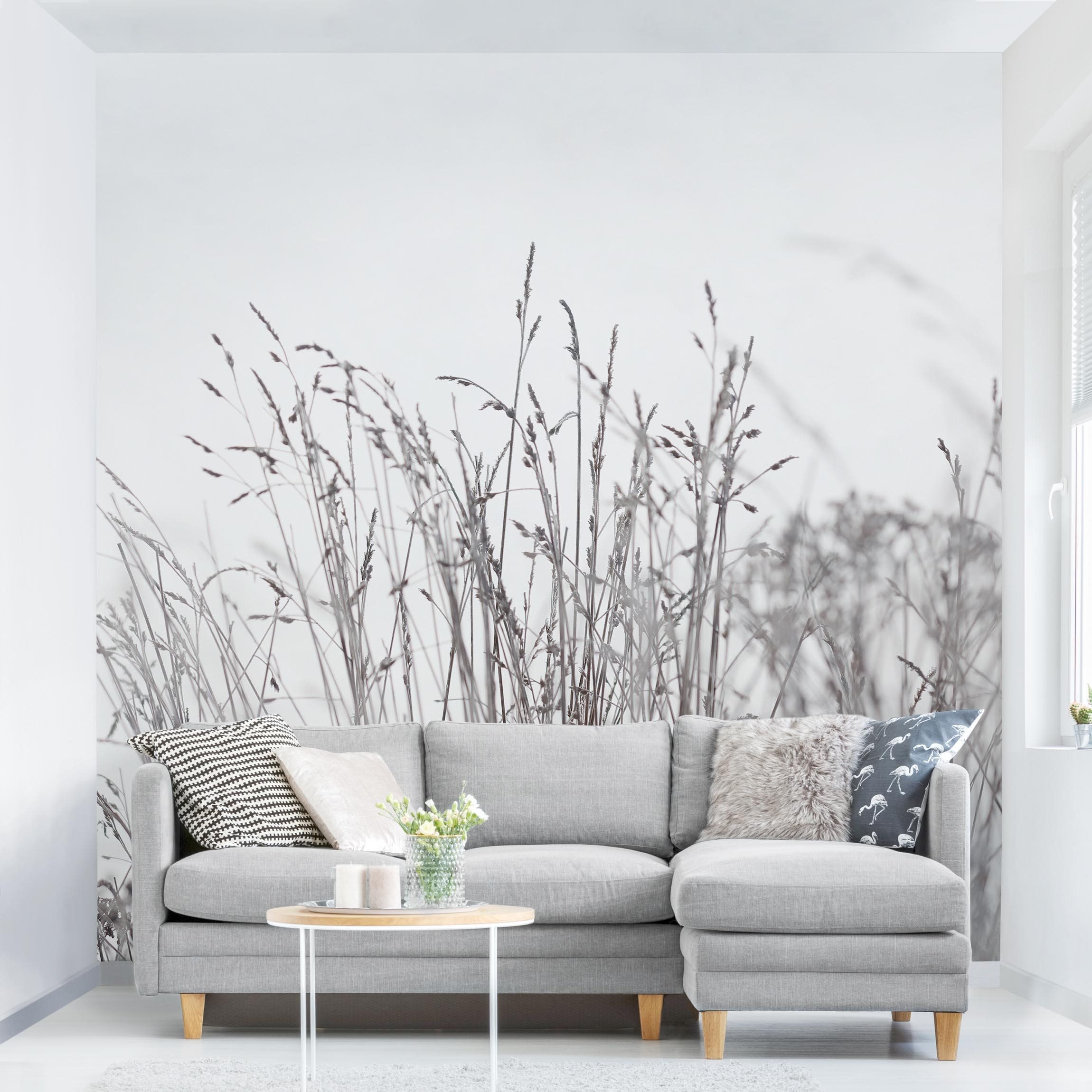 Papel pintado fotomural botánico gramíneas rústico romántico flores 301 - salón dormitorio cocina pasillo - tnt 240 x 240 cm adhesivo