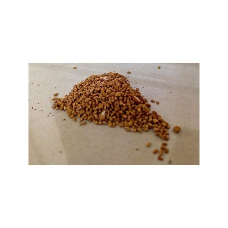 Muda De Planta Carnívora Dionaea Muscipula Típica: Características